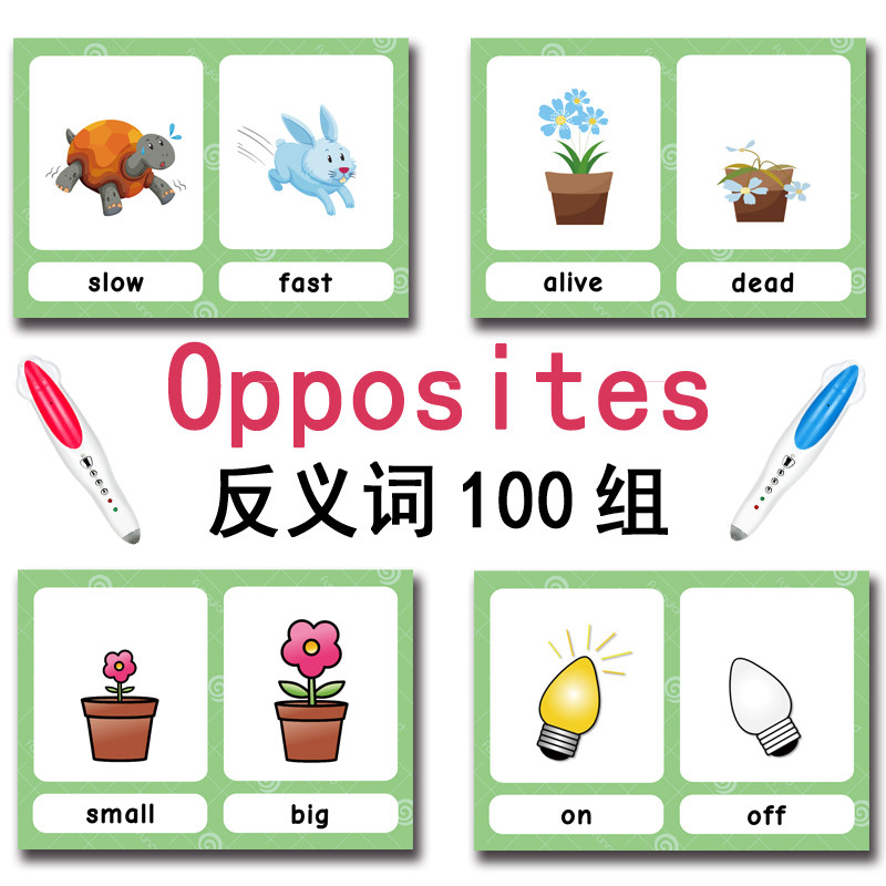 100 Cartões de Vocabulário em  - Kids Education Age avaliação e preço