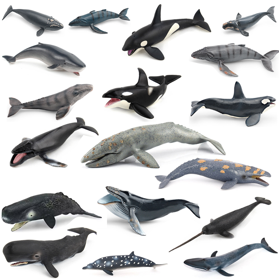 Modelos Realistas de Animais M - Kids Education Product avaliação e preço