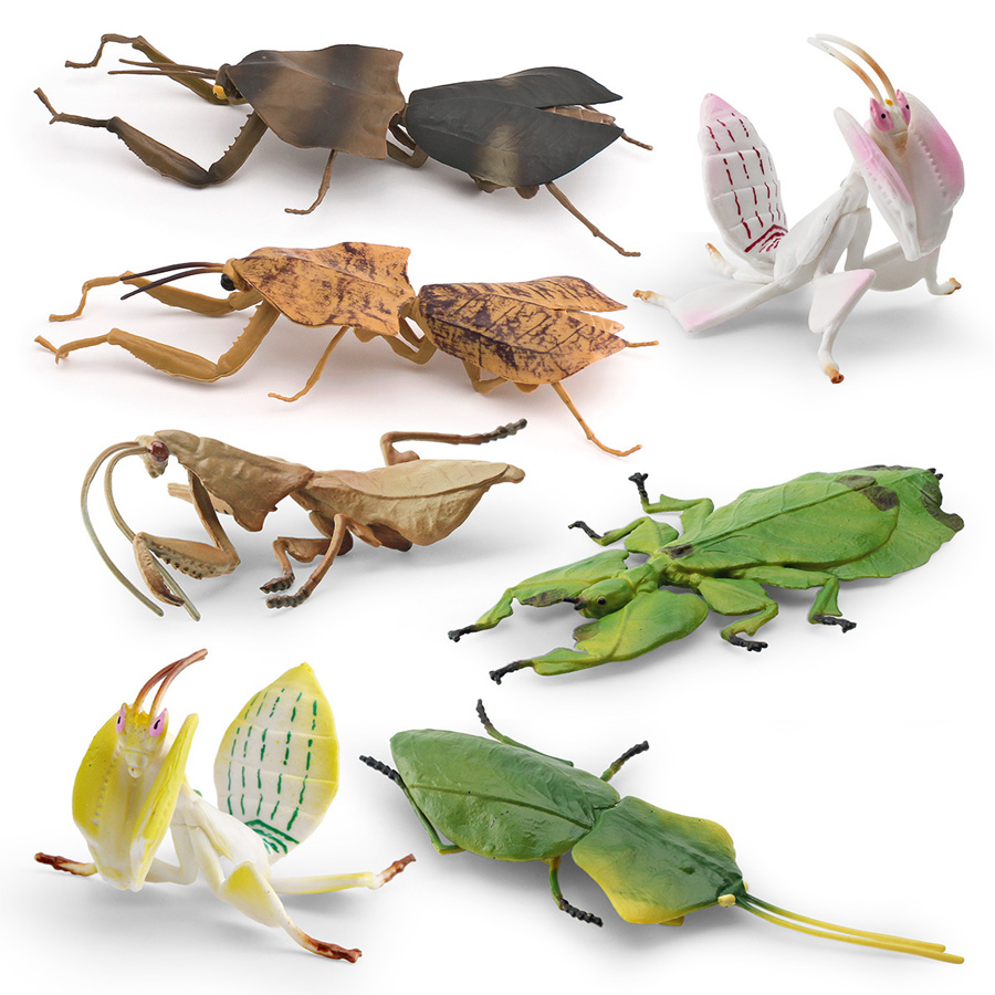 Modelo Realista de Mantis Orqu - Kids Education Product avaliação e preço