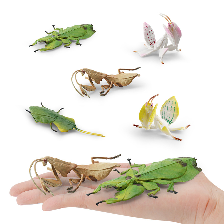 Modelo Realista de Mantis Orqu - Kids Education Product avaliação e preço